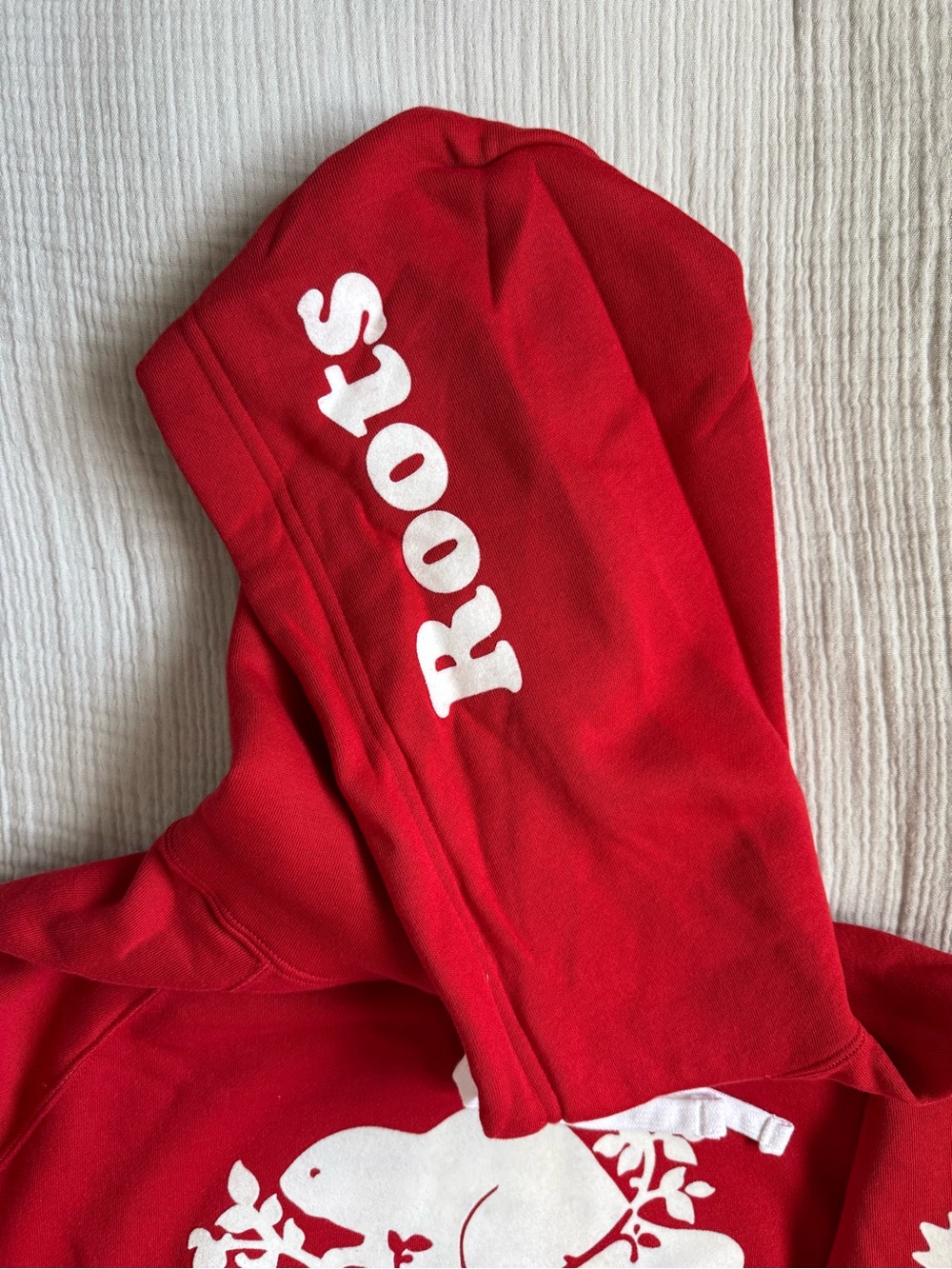 ROOTS Cooper Canada Kanga Hoodie in Sage Red (Unisex) - Picture 5 of 8